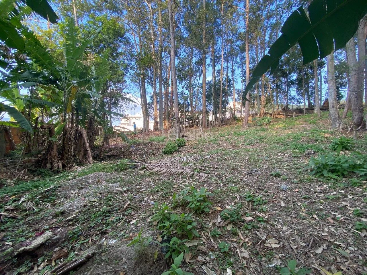 Terreno de 1.500m² no Pantanal - Foto 3