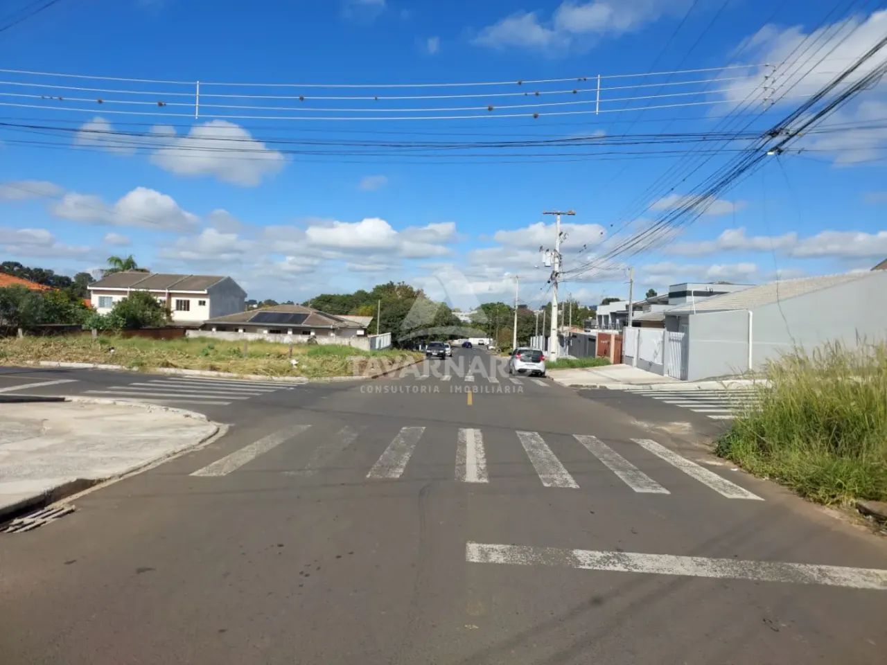 Terreno Padrão em Ponta Grossa - Foto 2