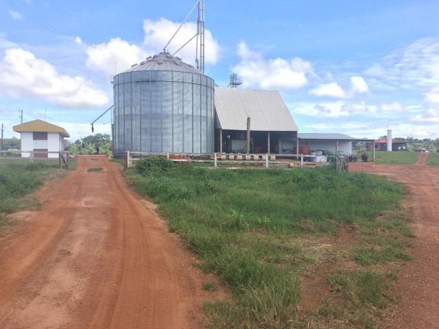 Fazenda 873 ha S.J. Rio Claro MT - Foto 8