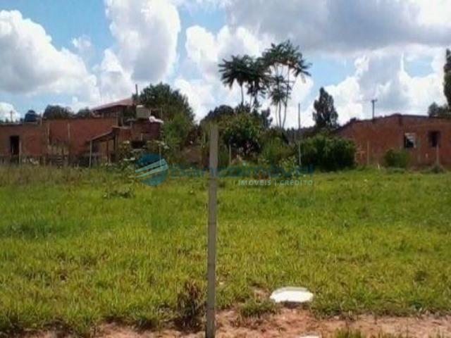Terreno para alugar com 0 dormitórios em Parque aeroporto, Campinas cod:TE00212