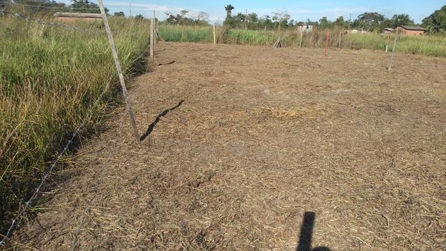 Terreno por 5.00,00 reais - Foto 2