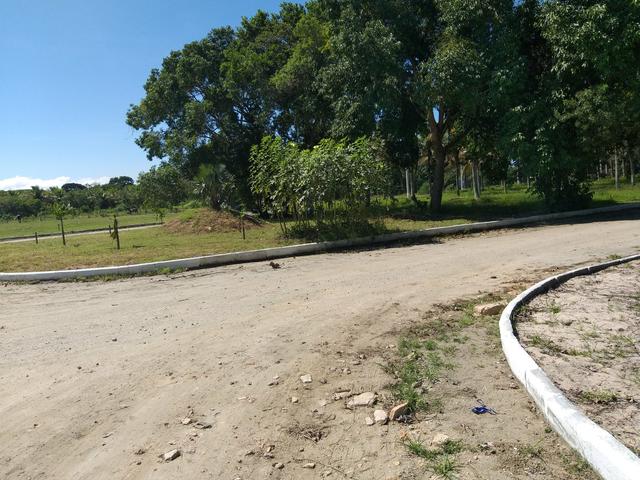 Cód 35 Lotes 10x20 em Unamar no Residencial Unavida !!! - Foto 4
