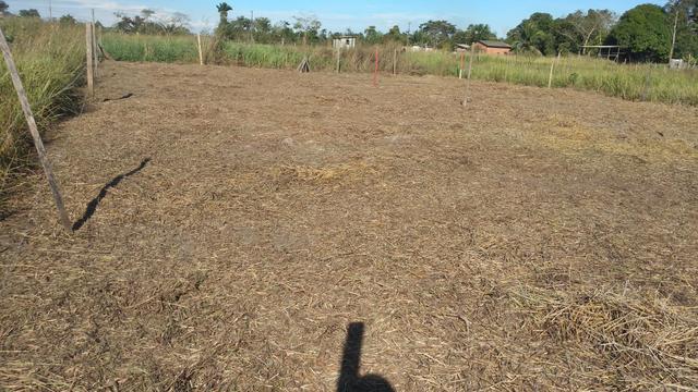 Terreno por 5.00,00 reais - Foto 3