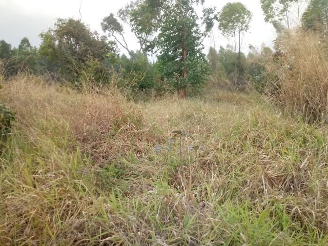 Chácara 2,5 alqueires mun Abadiânia - Foto 2