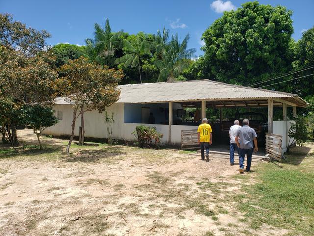 Fazenda, soja e pecuária - Foto 5