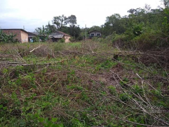 Terreno à venda, 360 m² por r$ 45.000 - vila das palmeiras - morretes/pr - Foto 5