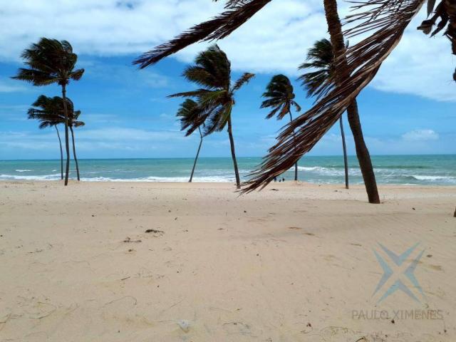 Apartamento com 1 dormitório à venda, vg sun cumbuco, 39 m² por r$ 250.000 - cumbuco - cau - Foto 12