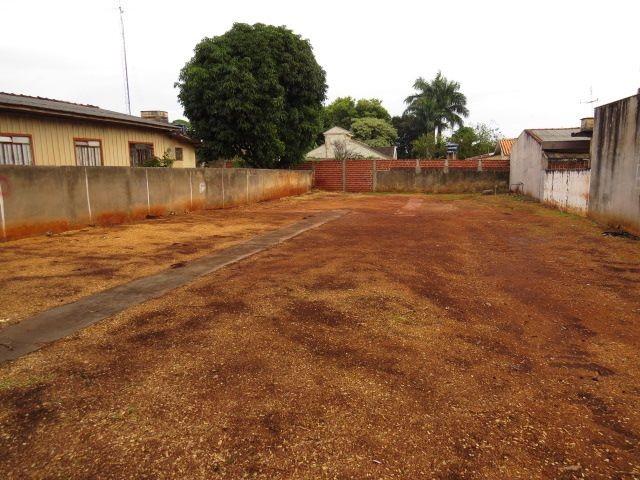 8003 | terreno para alugar em vila morangueira, maringa - Foto 3