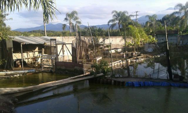 Chacara - Foto 18