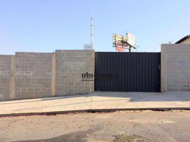 Terreno para alugar, 840 m² por r$ 5.000,00/mês - são luiz - itu/sp