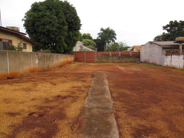 8003 | terreno para alugar em vila morangueira, maringa - Foto 5