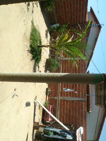 Venda