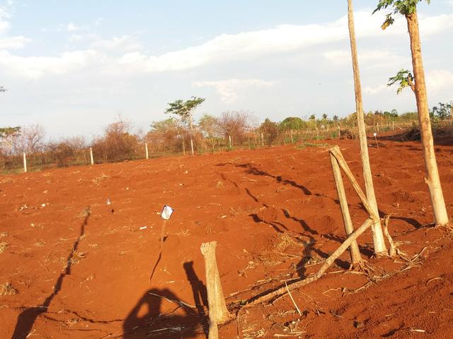 Chácara, Sítio, Terreno, aceito trocas - Foto 9