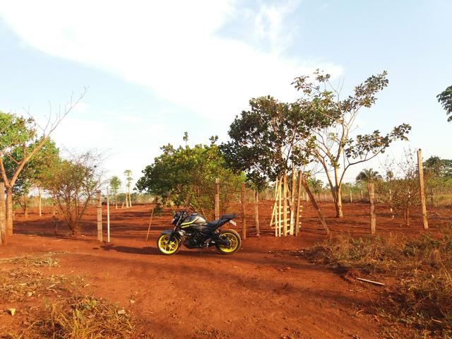 Chácara, Sítio, Terreno, aceito trocas - Foto 5