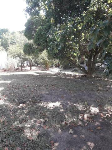 Venda - Foto 3