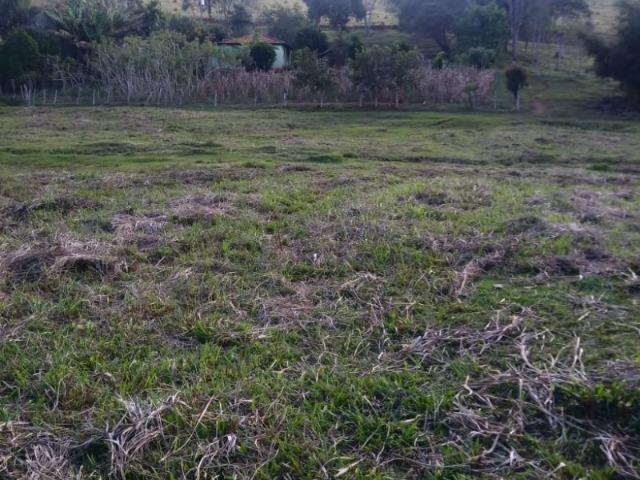 Sítio com 5 hectares, em São Sebastião do Rio Verde! - Foto 17