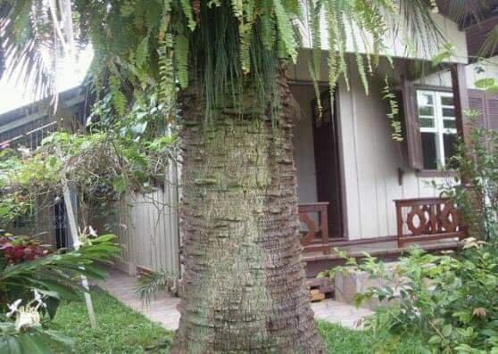 Venda Casa