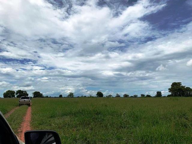 300 Alqs Formada Montada e Estruturada Banhada Por Rio Jussara GO - Foto 12