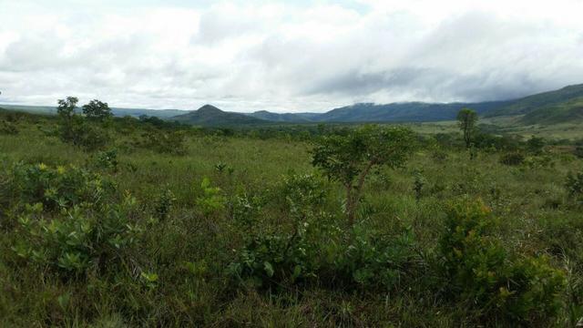 Chácara com área de 4000m², 14 km de Alto Paraíso de Goiás - Foto 6