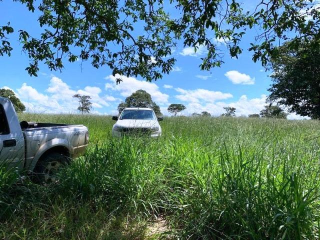 300 Alqs Formada Montada e Estruturada Banhada Por Rio Jussara GO - Foto 16