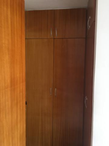 Alugo apto De 105 m2 projetado no Cohafuma - Foto 9
