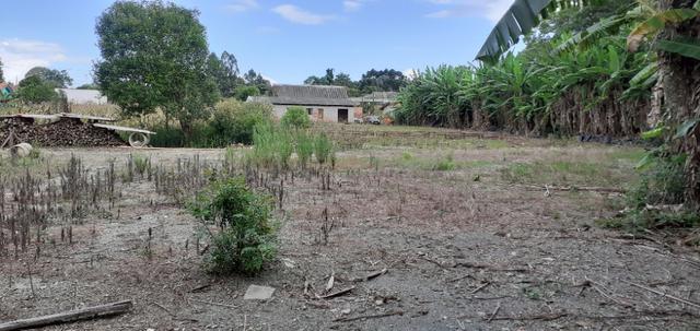 Terreno 2.400m2 - Vila Nova Prudentópólis - Foto 6