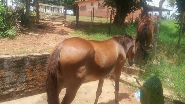 Vendo urgente - Foto 2