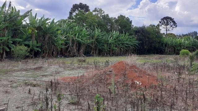 Terreno 2.400m2 - Vila Nova Prudentópólis - Foto 5