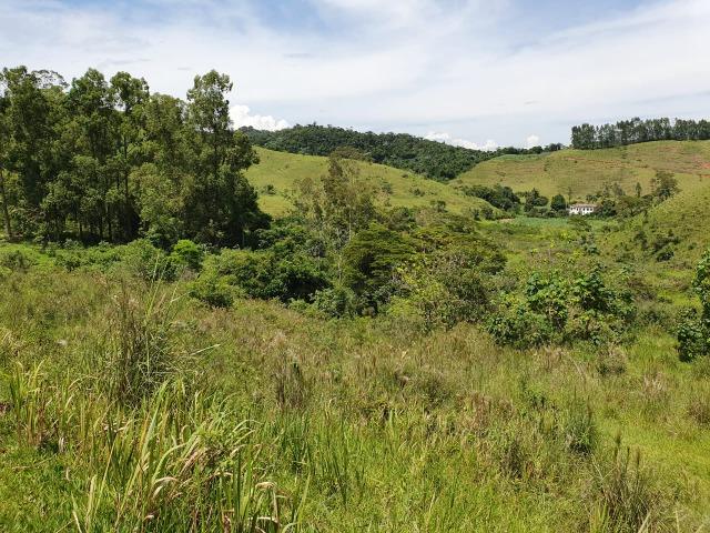 Sítio com 7 Alqueires, estrada do Turvo - Foto 2