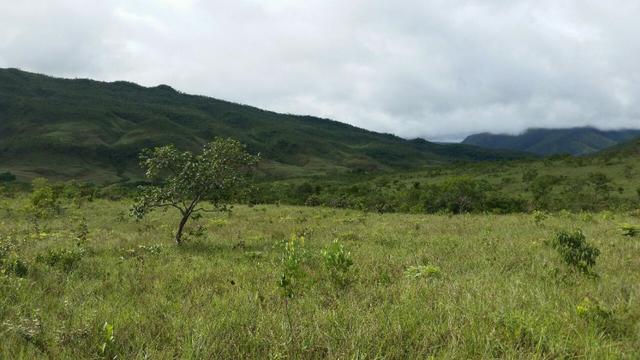 Chácara com área de 4000m², 14 km de Alto Paraíso de Goiás