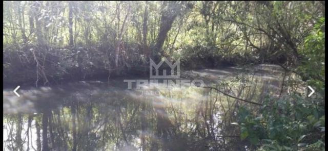 Sítio com rio e mata nativa - Foto 3