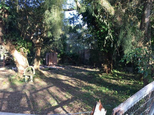 Terreno - Foto 4