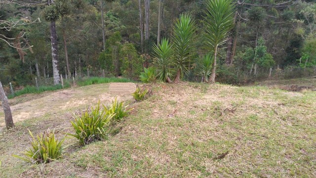 Chácara com 3.000 m2 em Delfim Moreira, MG. Aceito carro! - Foto 2