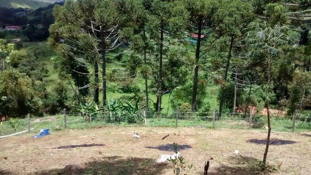 Chácara com 3.000 m2 em Delfim Moreira, MG. Aceito carro!