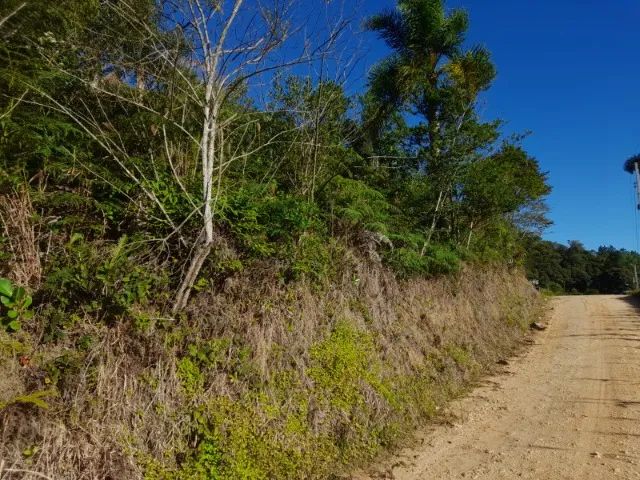 Sítio 3,7 hectares, Pastagem, Roça, 2ª Linha, Divisa de São Pedro com Águas Mornas SC - Foto 10