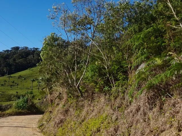 Sítio 3,7 hectares, Pastagem, Roça, 2ª Linha, Divisa de São Pedro com Águas Mornas SC - Foto 9