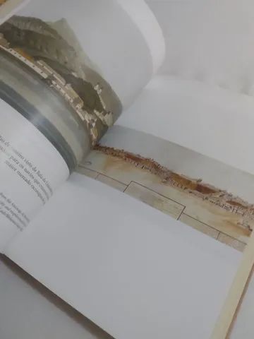 Livro 1808: Como Uma Rainha Louca, Um Príncipe Medroso E Uma Corte Corrupta - Foto 3