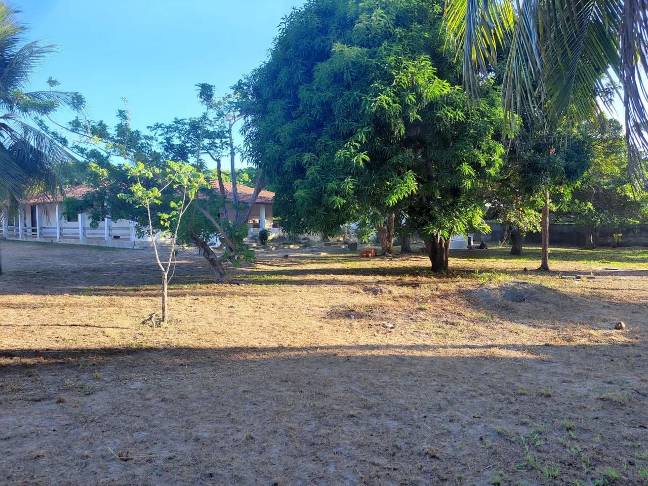 Sitio com Terreno de 6.446m² - Foto 2