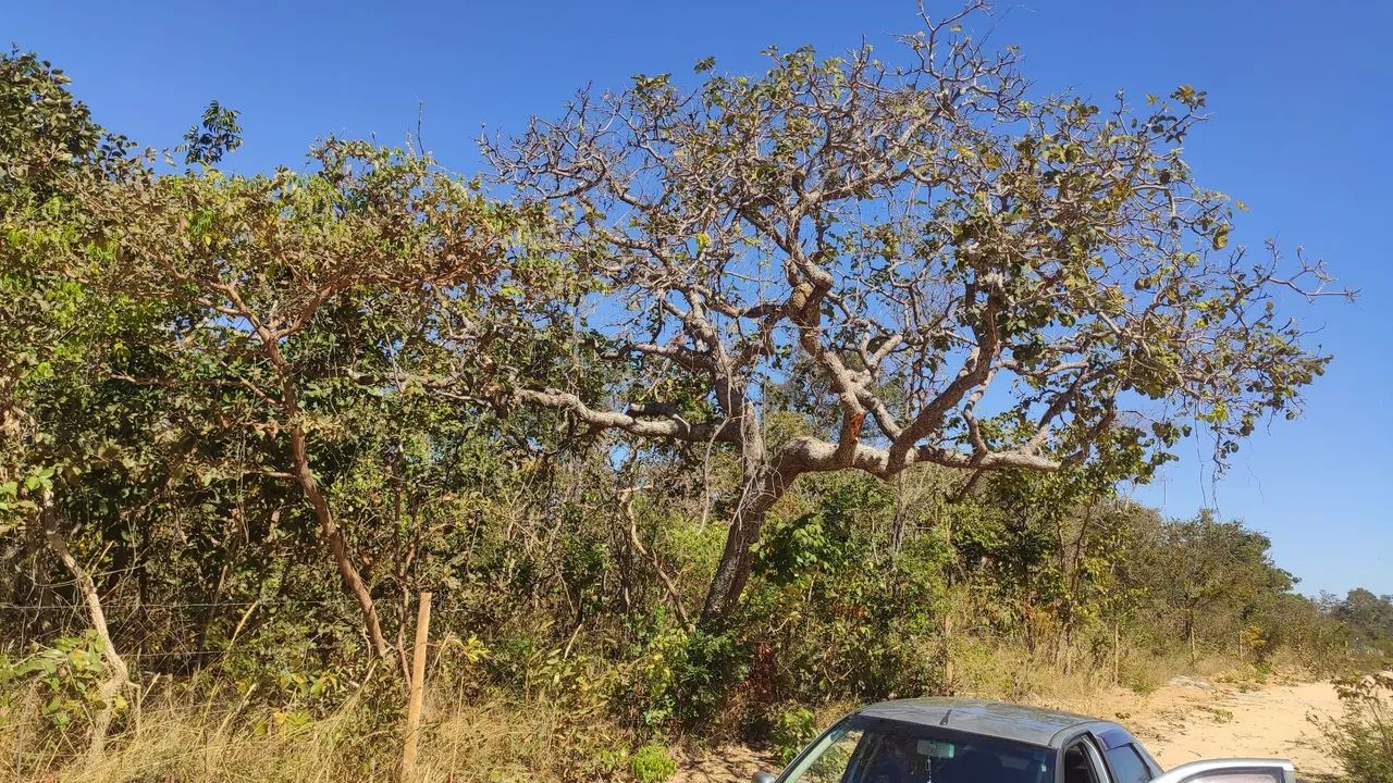 Vendo chácara sumidouro coração de Jesus MG - Foto 3