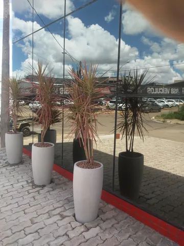 Vasos - Foto 5