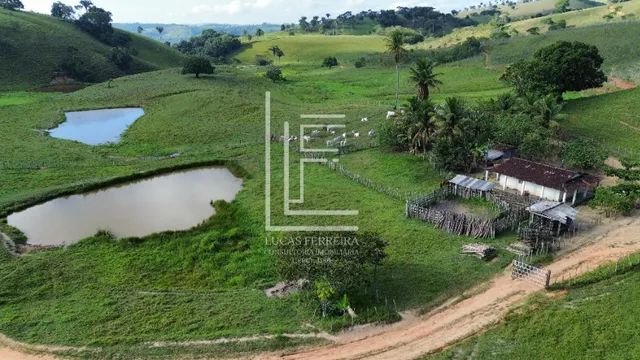 Belíssima fazenda de 52 hectares na melhor localização de Santana do Mundaú-AL