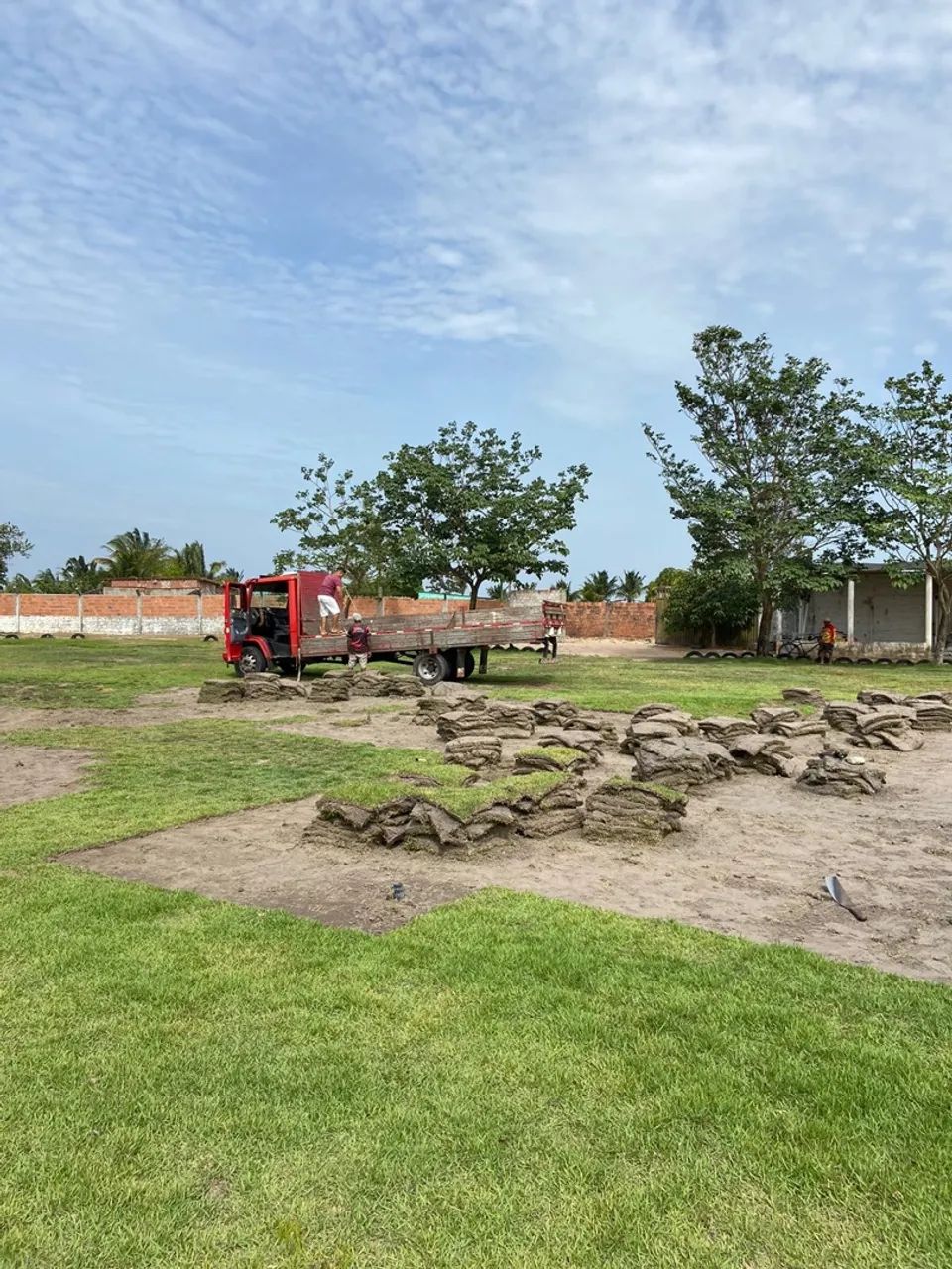 Grama Esmeralda e Serviços 