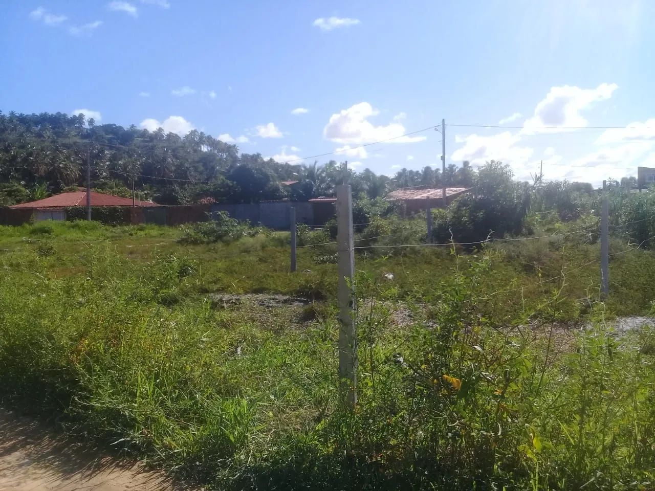 Terreno em marechal Deodoro  - Foto 3