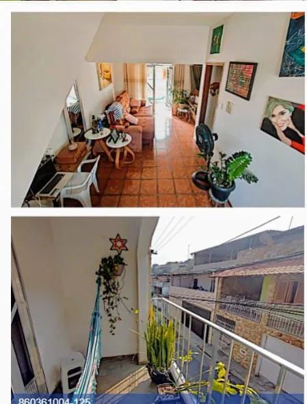 Foto - Juiz de Fora - Milho Branco