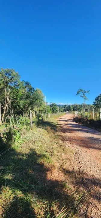 Terreno com área verde em região tranquila - Foto 5