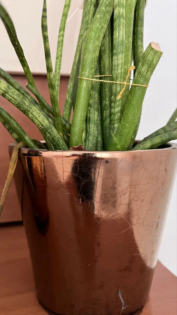 Vaso  de metal com plantas completo 2 conju 120 - Foto 3