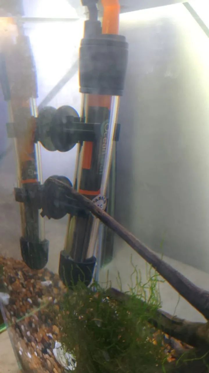 Aquário + acessórios + decoração e produtos  - Foto 3