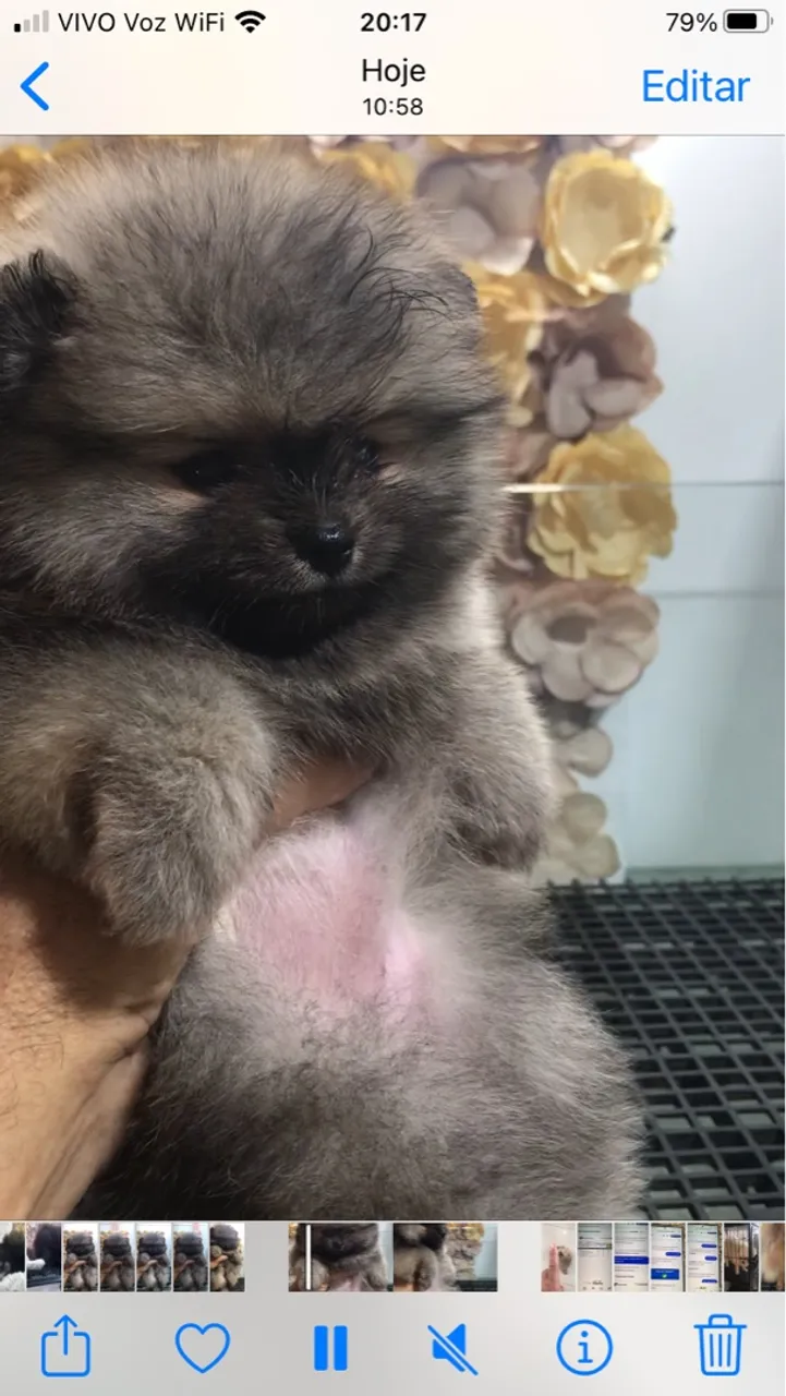 Linda menina disponível * - *