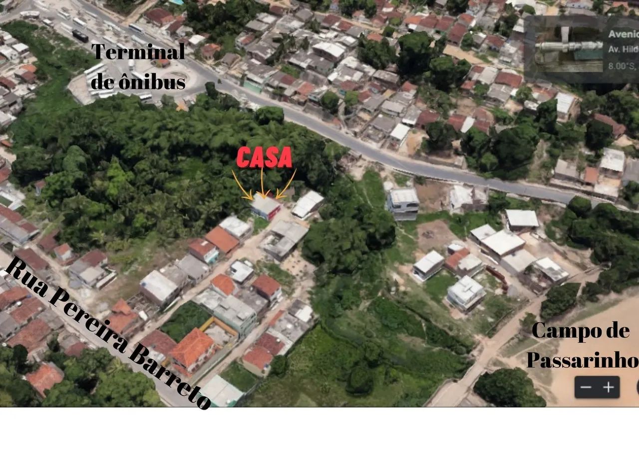 Foto - Recife - Passarinho