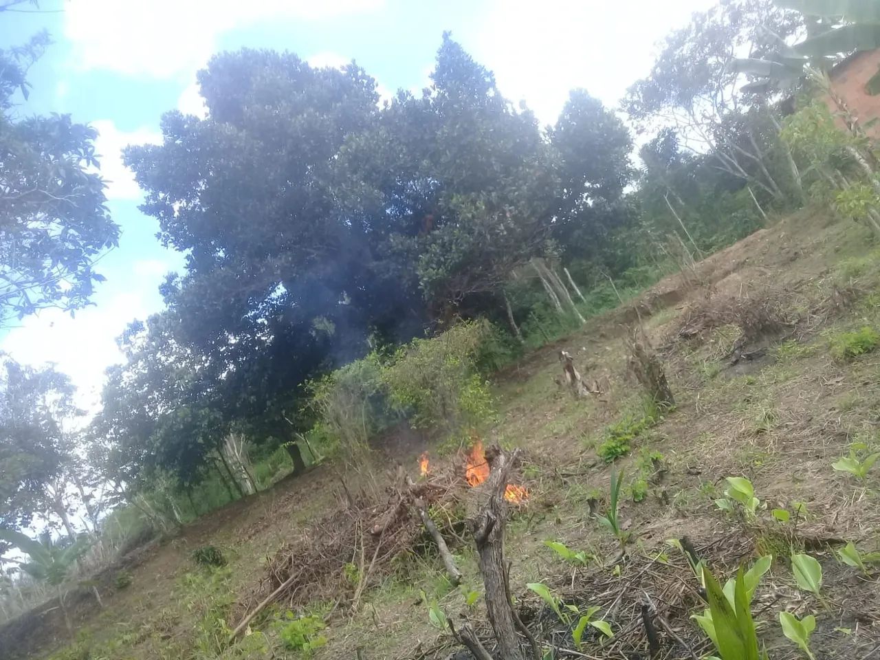 Vendo terreno  em taquipe  - Foto 4